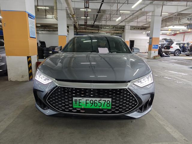 BYD Chinese DM