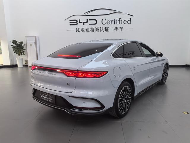 BYD Chinese DM