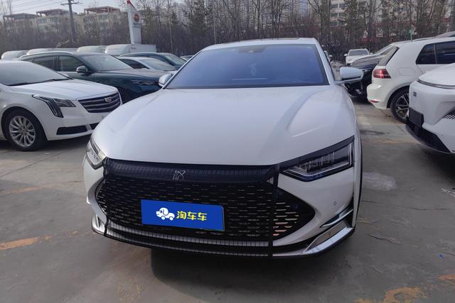 BYD Chinese DM