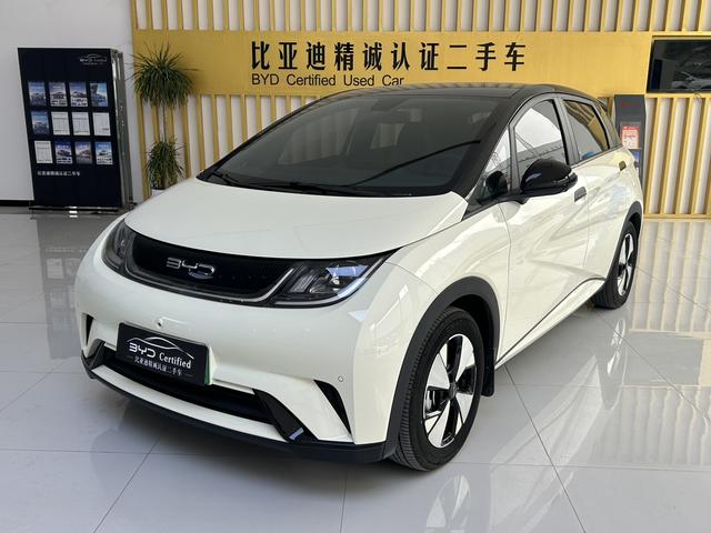 BYD Dolphin