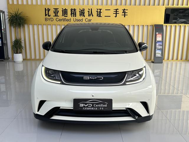 BYD Dolphin