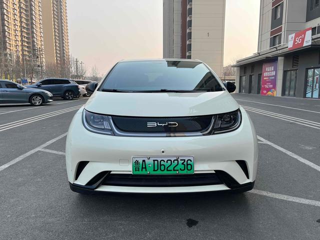 BYD Dolphin