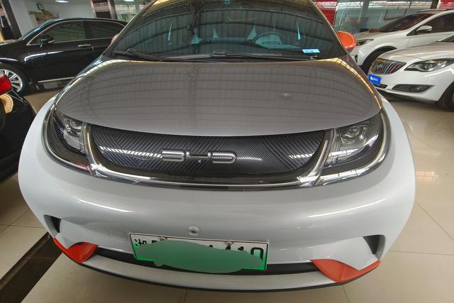 BYD Dolphin