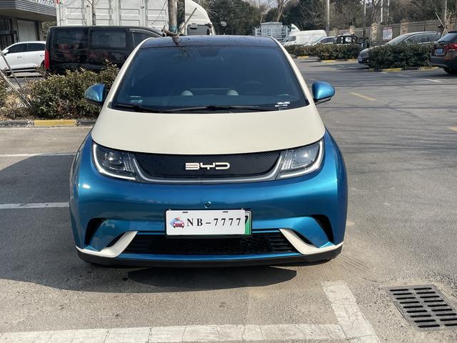 BYD Dolphin