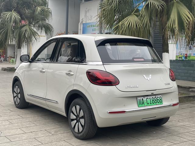 Wuling Bingo