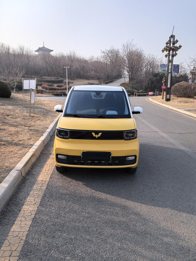 Wuling Hongguang MINIEV