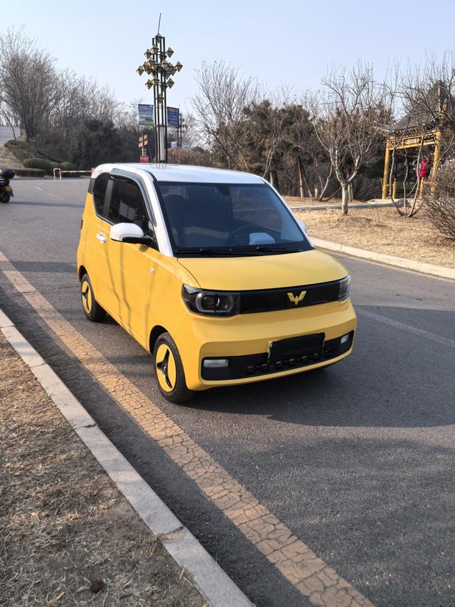 Wuling Hongguang MINIEV