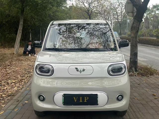 Wuling Hongguang MINIEV