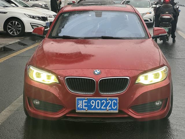 BMW 2 Series (Imported)