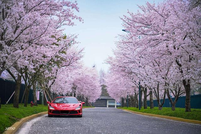 Ferrari F8