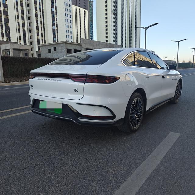 BYD Chinese DM