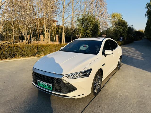 BYD Qin PLUS DM