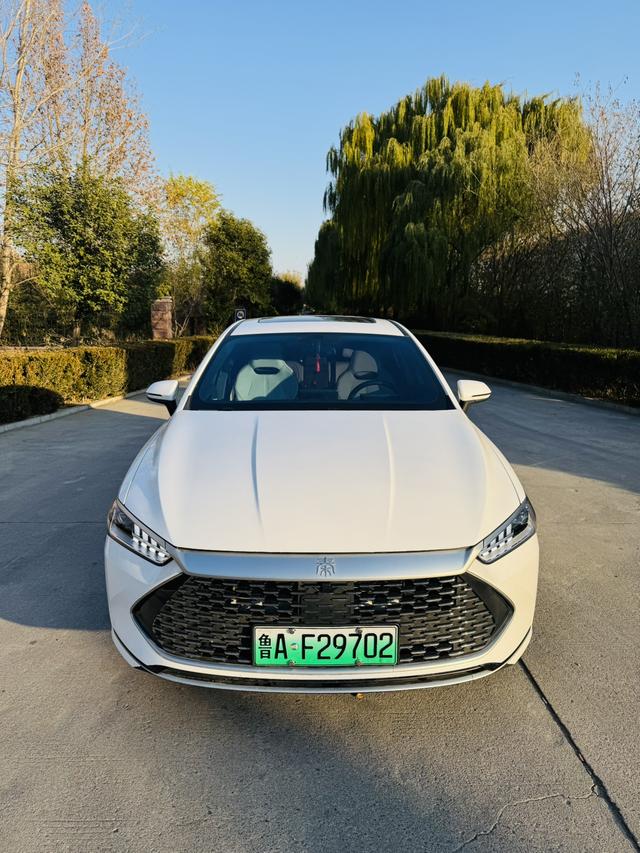 BYD Qin PLUS DM