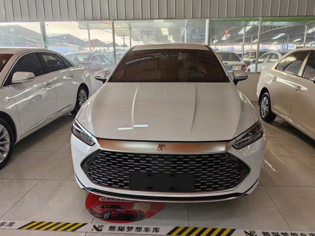 BYD Qin PLUS DM