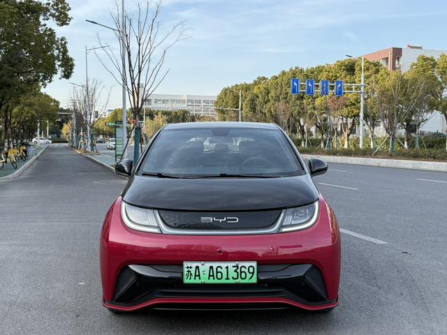 BYD Dolphin