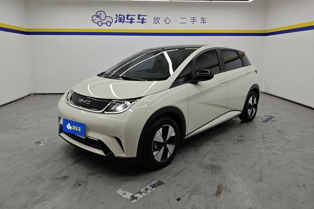 BYD Dolphin