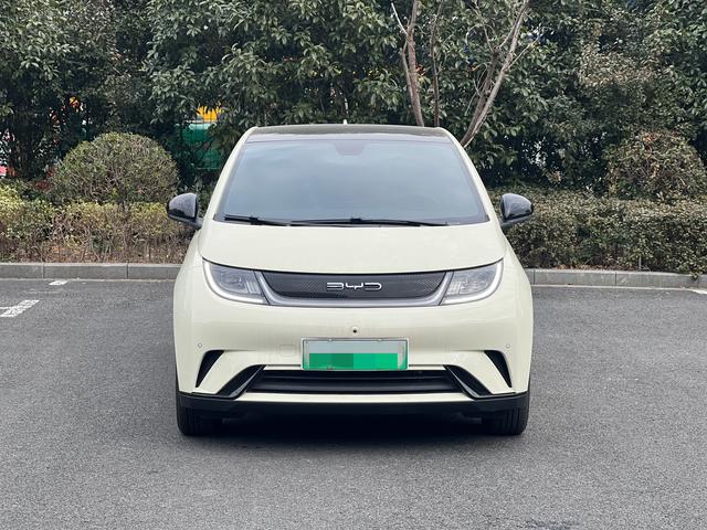 BYD Dolphin