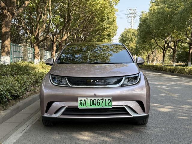 BYD Dolphin