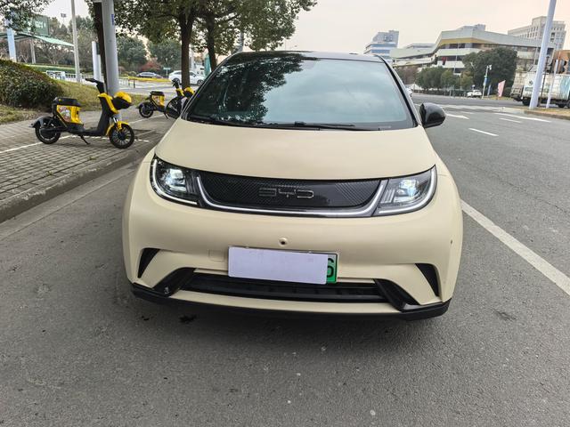 BYD Dolphin