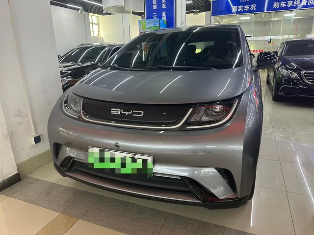 BYD Dolphin