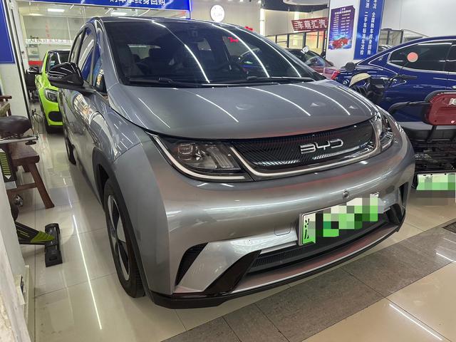 BYD Dolphin