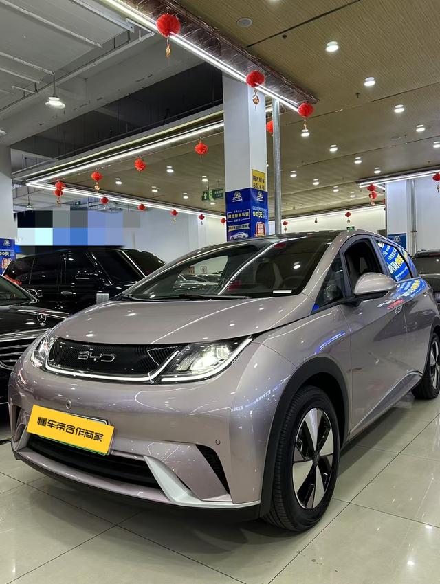 BYD Dolphin