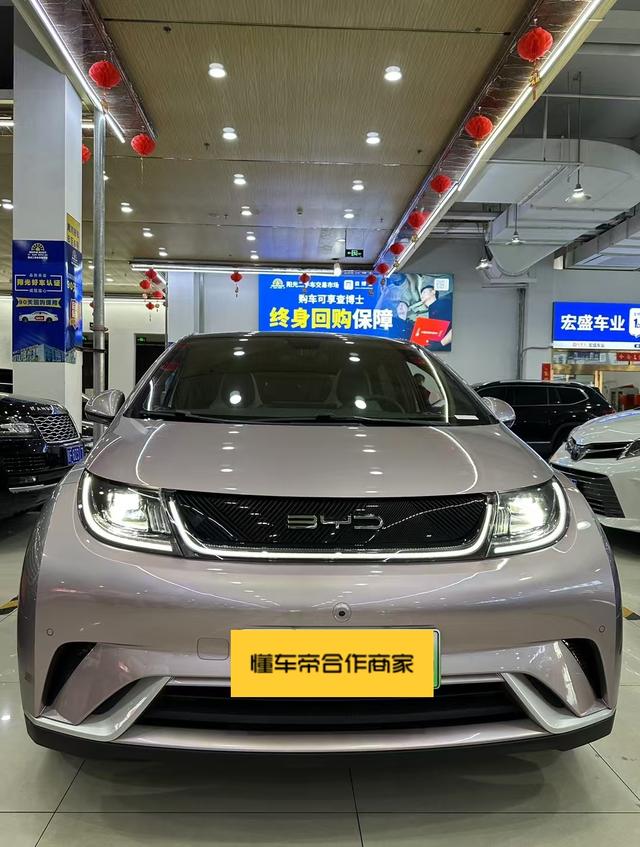 BYD Dolphin