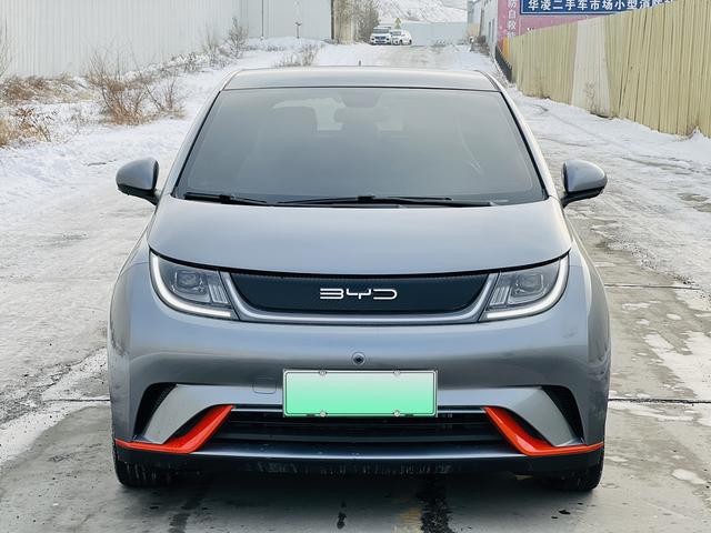 BYD Dolphin