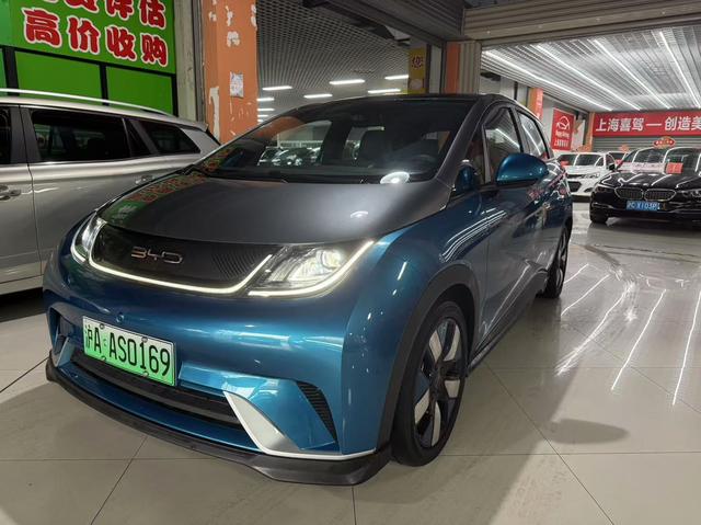 BYD Dolphin