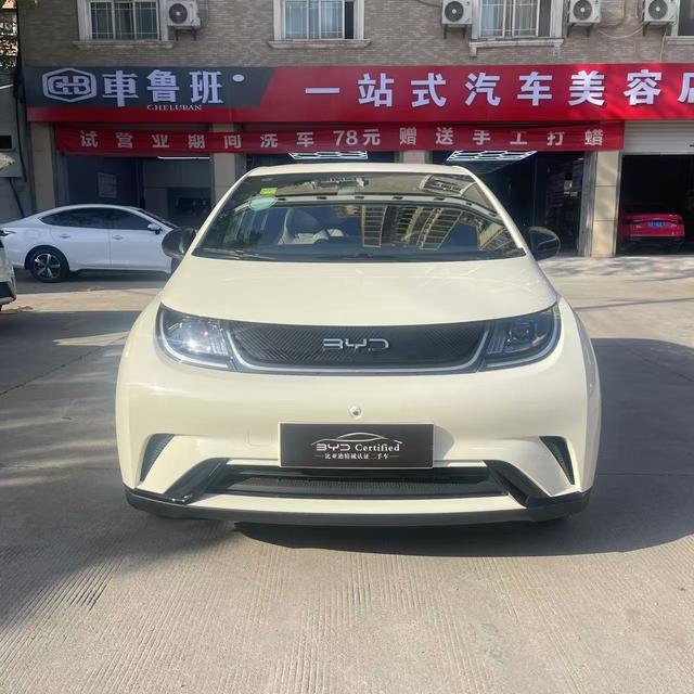 BYD Dolphin