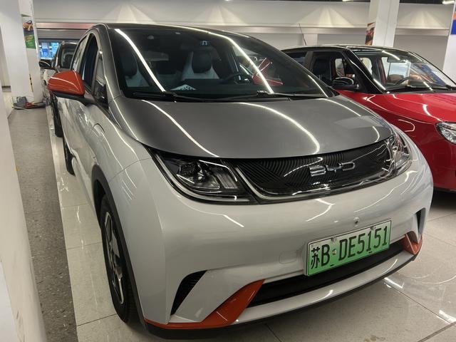 BYD Dolphin