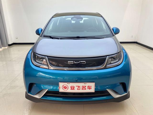 BYD Dolphin