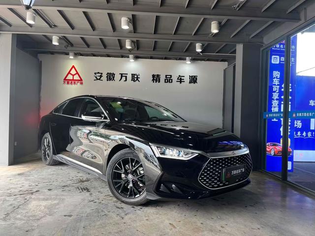 BYD Chinese DM