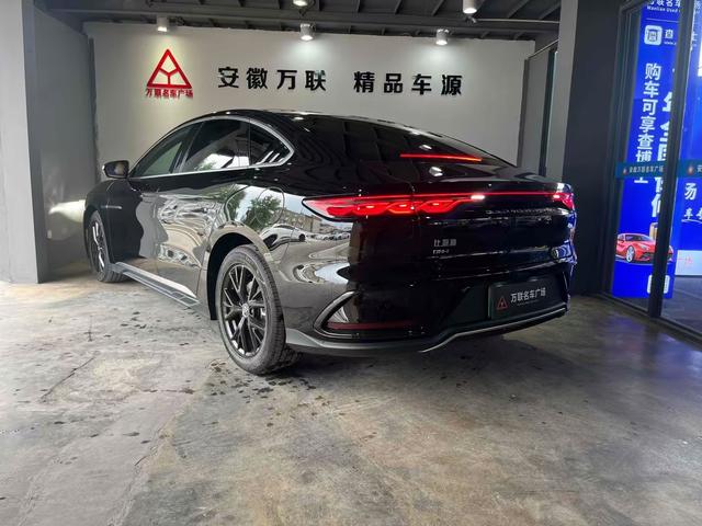 BYD Chinese DM