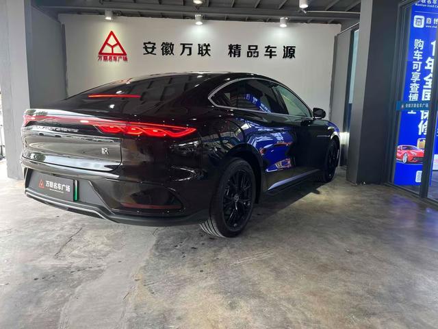 BYD Chinese DM