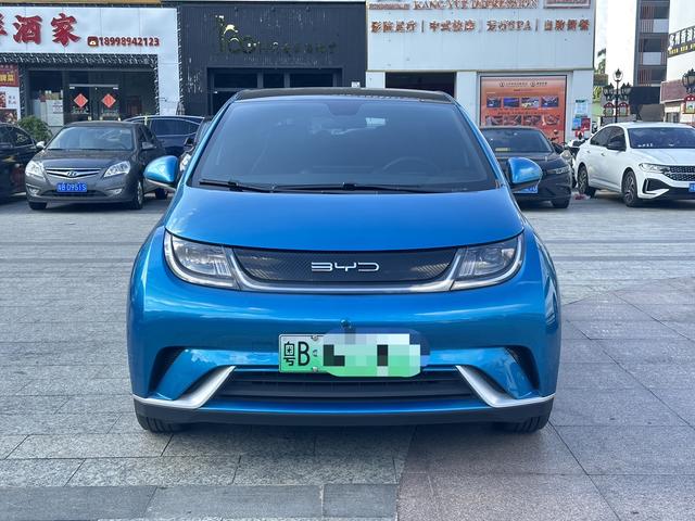 BYD Dolphin