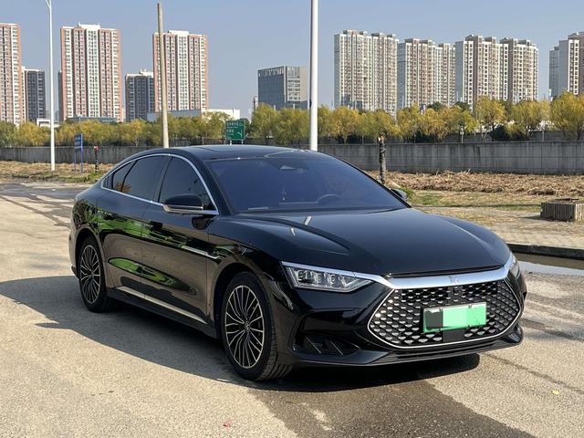 BYD Chinese DM