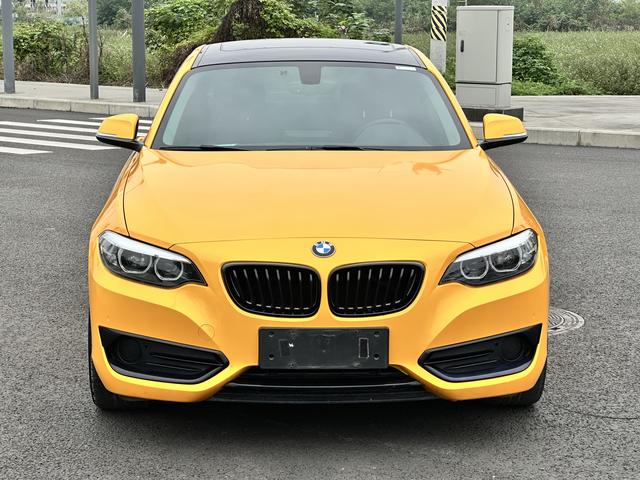 BMW 2 Series (Imported)