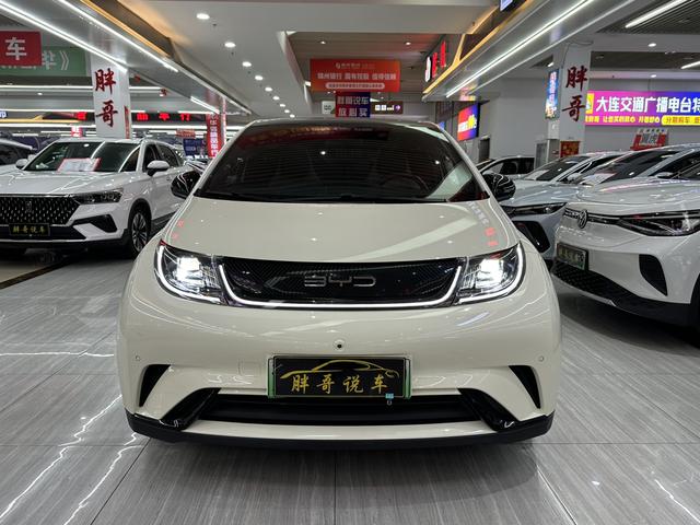 BYD Dolphin