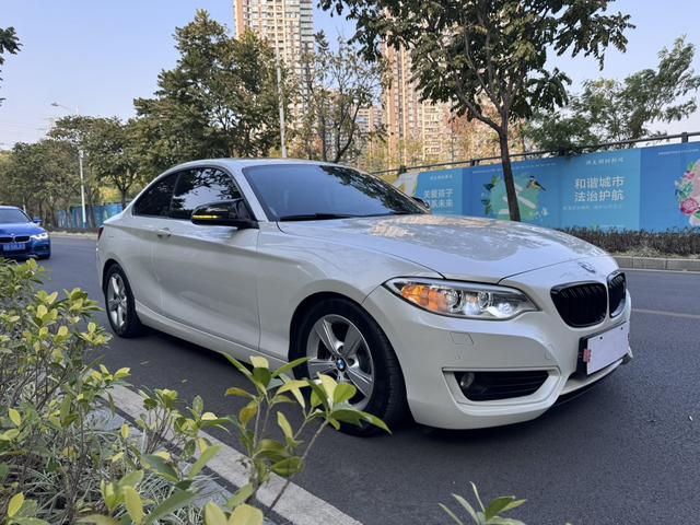 BMW 2 Series (Imported)