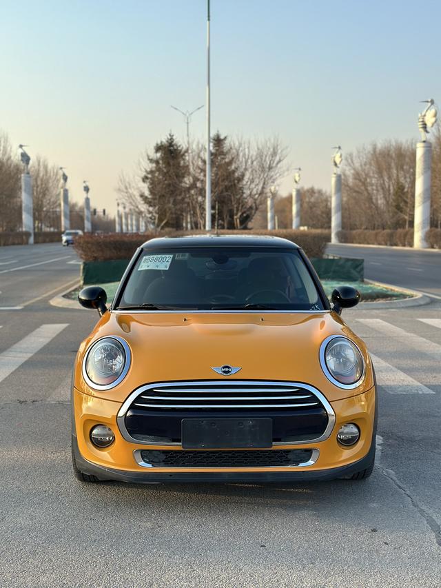 MINI MINI