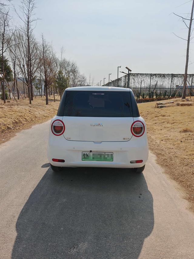 Changan Lumin