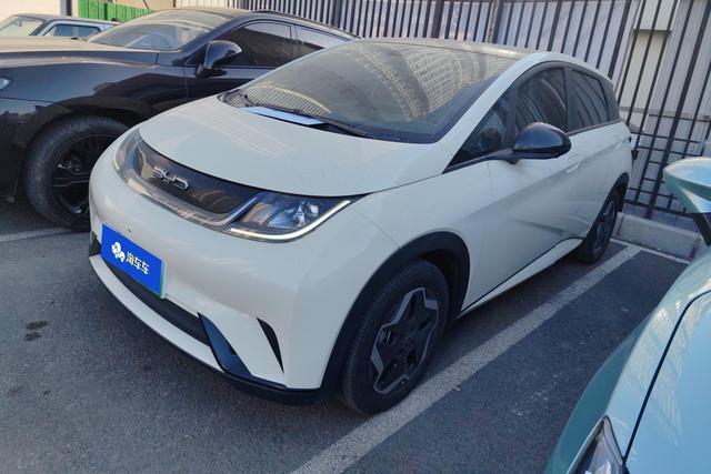 BYD Dolphin  из Китая