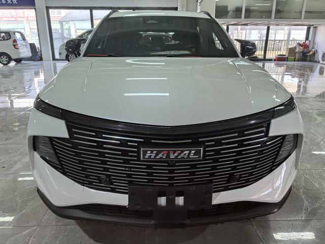 Haval Beast