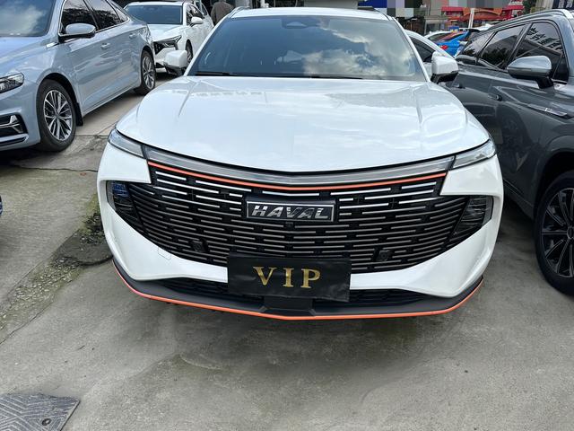 Haval Beast