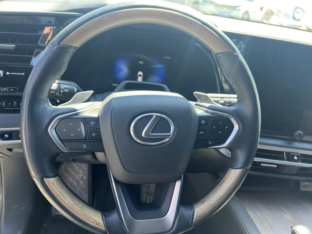 Lexus RX PHEV