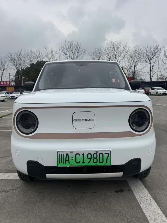 Geely Panda