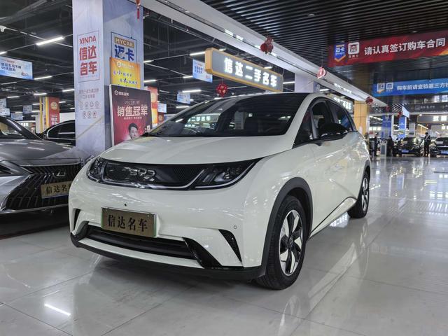 BYD Dolphin