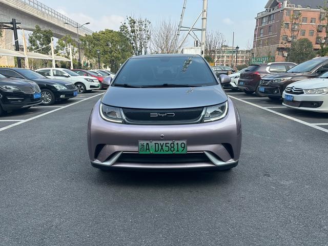 BYD Dolphin