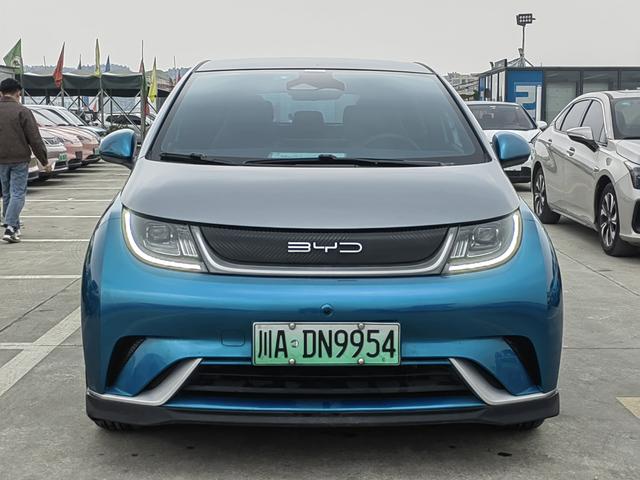 BYD Dolphin